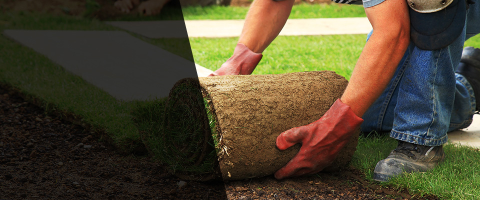 Kimberly Landscapers